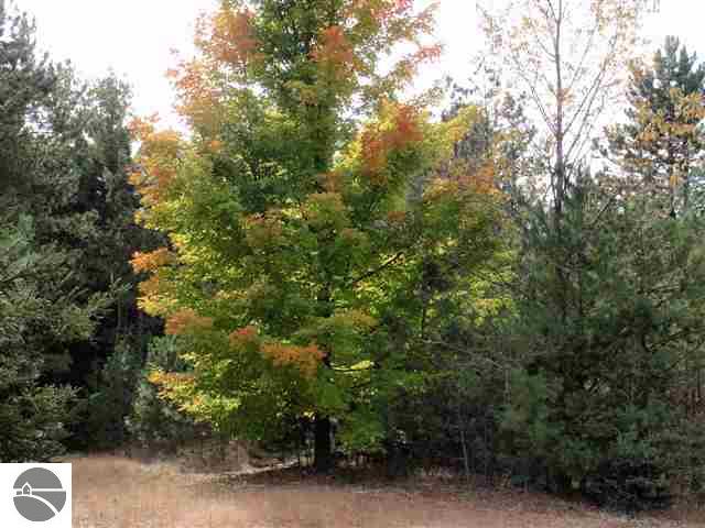 20487 Rice Road Copemish, MI 49625 - Photo 15 of 24 1739894-14.JPG