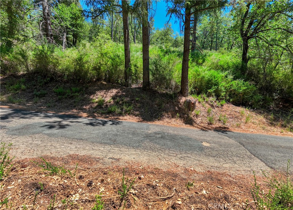 12548 Observation Road Middletown, CA 95461 - Photo 14 of 19