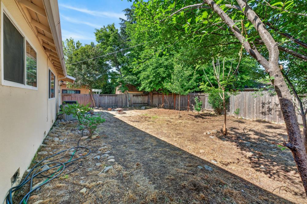 10653 Campana Way Rancho Cordova, CA 95670 - Photo 41 of 49 a view of a yard with plants and a large tree