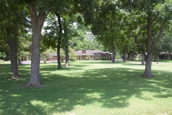 a view of a park with large trees