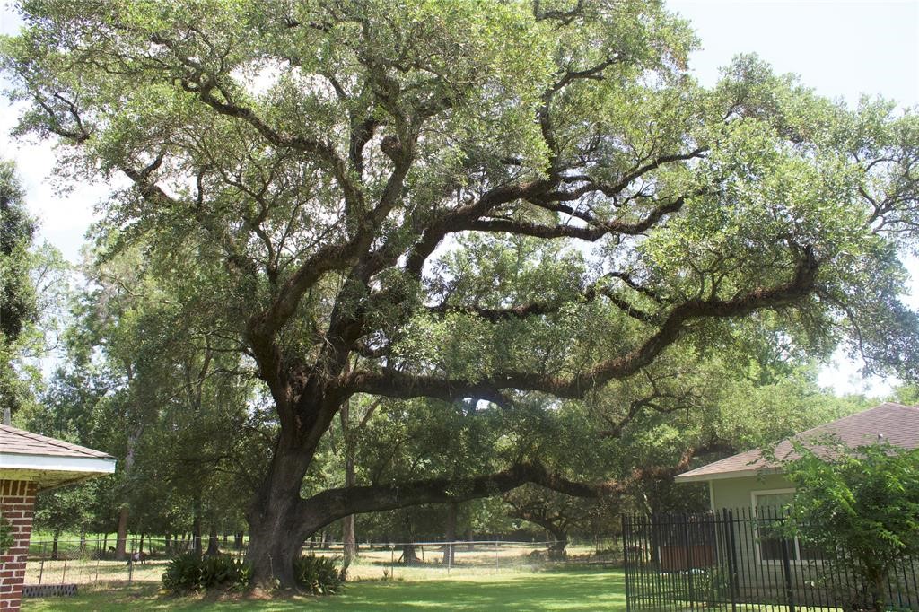 10702 Crosby Lynchburg Road Highlands, TX 77562 - Photo 8 of 18 a view of a park with large trees