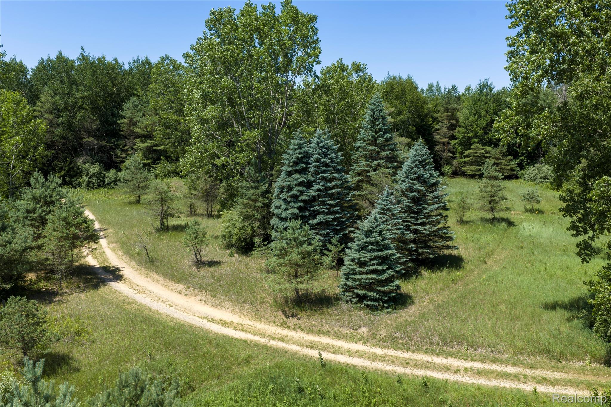 0 Dodge Road Cass City, MI 48726 - Photo 11 of 19 11.jpg