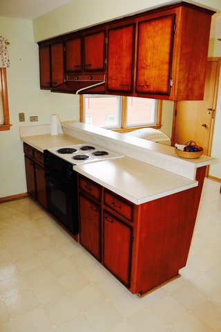 4444 West 87th Street, Unit 2N Chicago, IL 60652 - Photo 11 of 19