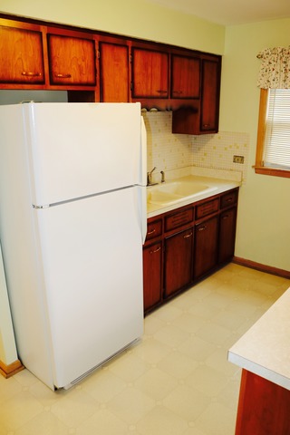 4444 West 87th Street, Unit 2N Chicago, IL 60652 - Photo 12 of 19