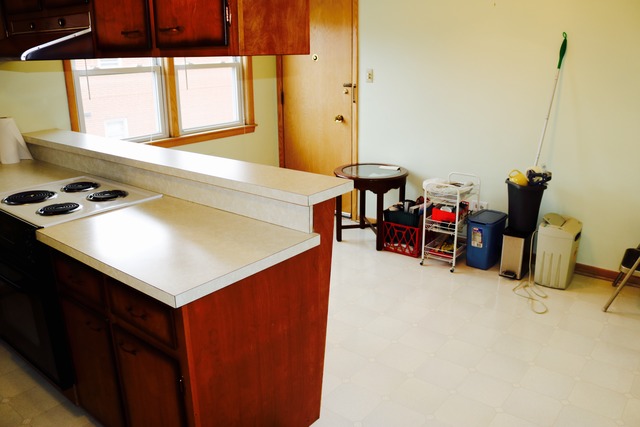 4444 West 87th Street, Unit 2N Chicago, IL 60652 - Photo 13 of 19