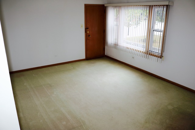 4444 West 87th Street, Unit 2N Chicago, IL 60652 - Photo 4 of 19