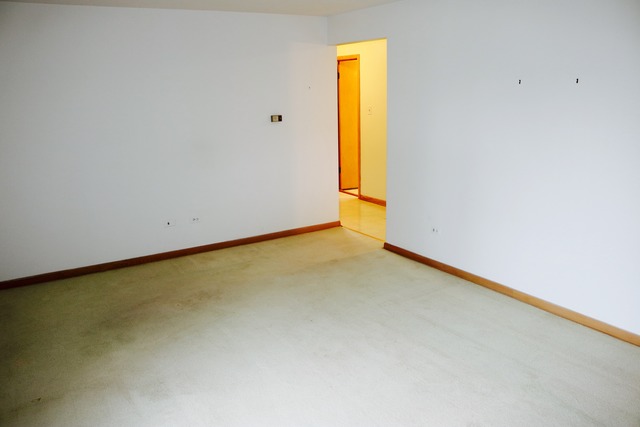 4444 West 87th Street, Unit 2N Chicago, IL 60652 - Photo 5 of 19