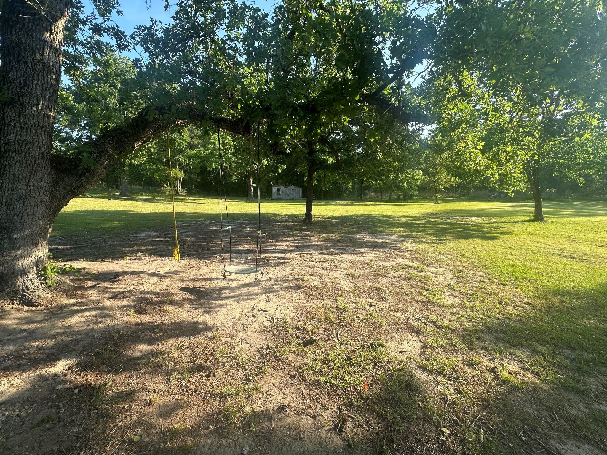 29 Brumley Street Huntsville, TX 77320 - Photo 5 of 17 a view of a swimming pool with a yard