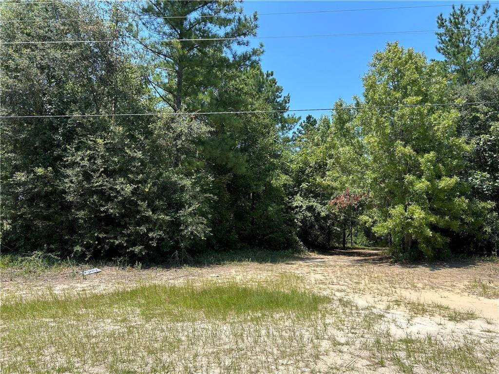0 Smith Road Southeast, Unit 8 Townsend, GA 31331 - Photo 1 of 1 Gallery Image 1
