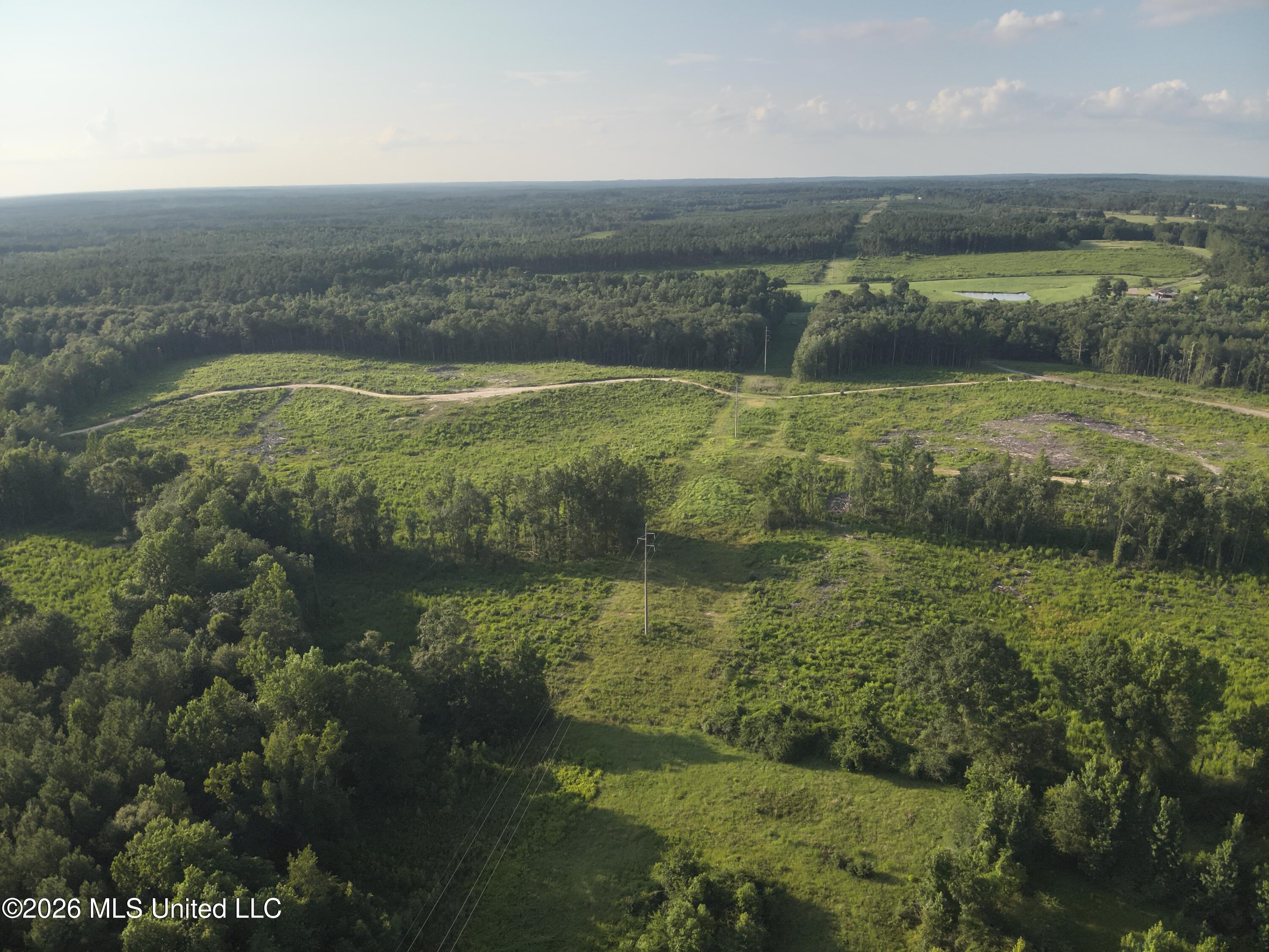 Oscar Bell Road Waynesboro, MS 39367 - Photo 20 of 23 DJI_20260710183224_0034_V
