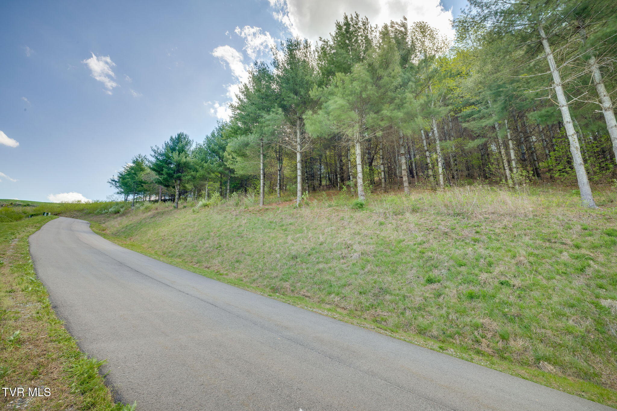 Lot 11 Cowan Town Road, Unit 11 Butler, TN 37640 - Photo 12 of 41 603