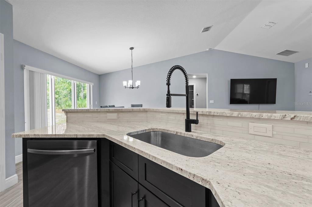 13218 Barnevelde Road Weeki Wachee, FL 34614 - Photo 6 of 28