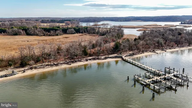a view of a lake in middle of forest