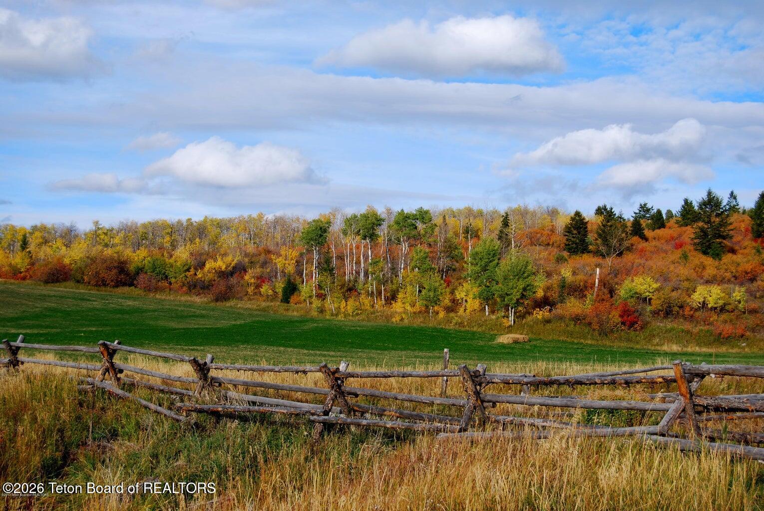 46 Scott Drive Victor, ID 83455 - Photo 42 of 57 Fall across open space to south