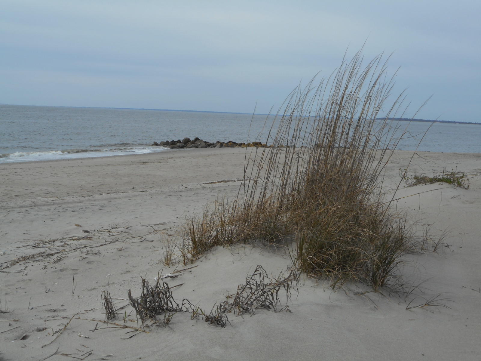 3002 Point Street Edisto Beach, SC 29438 - Photo 20 of 52 DSCN2659