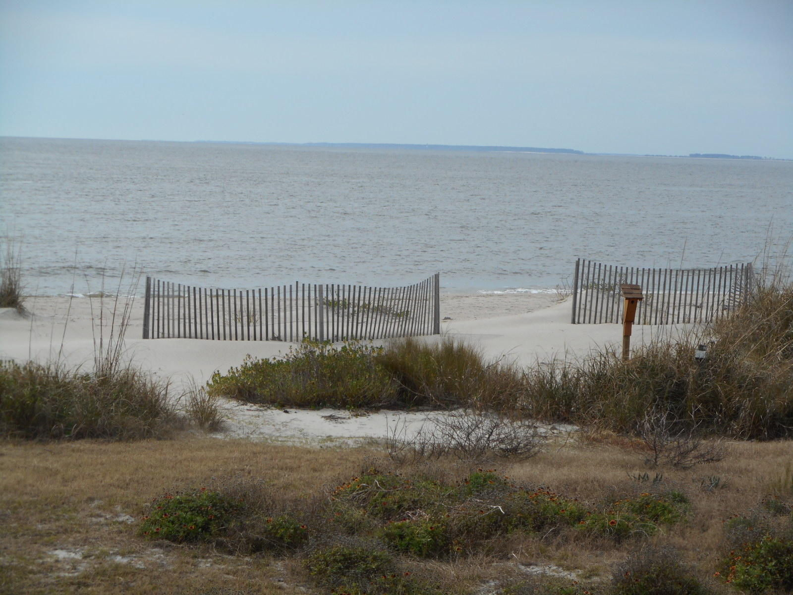 3002 Point Street Edisto Beach, SC 29438 - Photo 8 of 52 DSCN2653