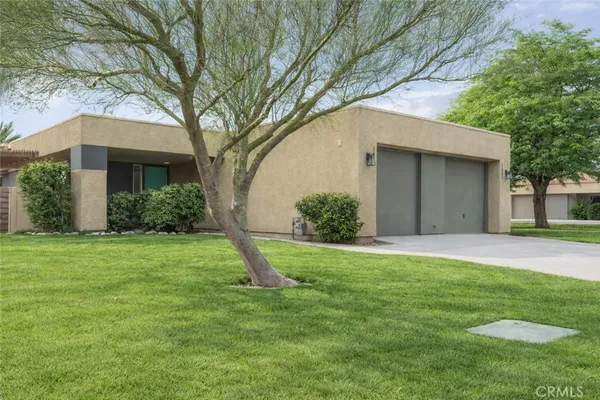 a backyard of a house with plants and large tree