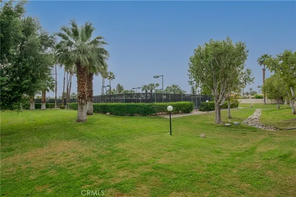 a view of a garden with a tree