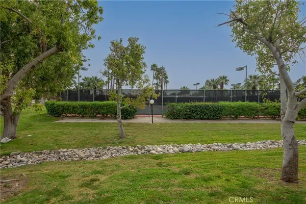 a view of a grassy field with trees