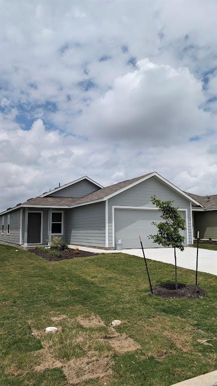 564 Rancho Del Cielo Loop Jarrell, TX 76537 - Photo 2 of 14 A neatly manicured lawn with a young tree complements this single-story residence.