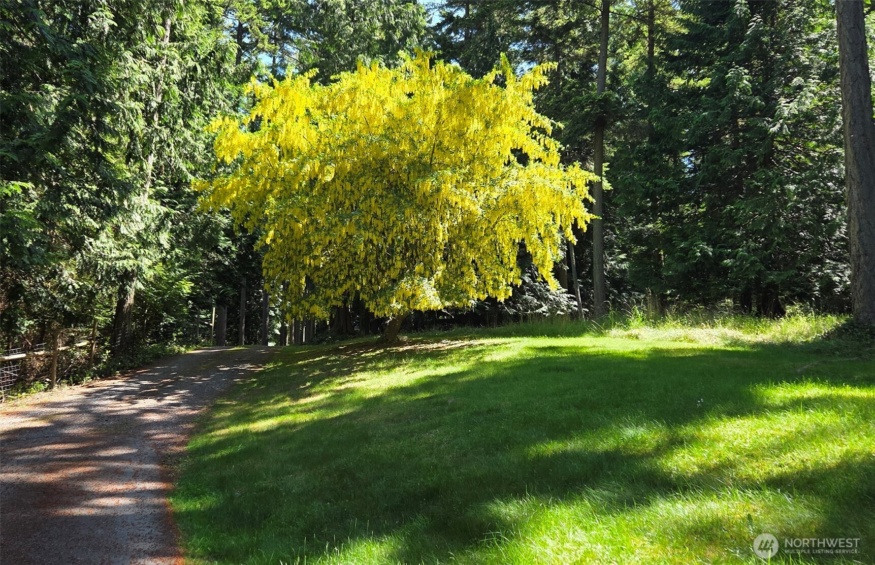 1311 Lopez Road Lopez Island, WA 98261 - Photo 25 of 30 Gallery Image 25