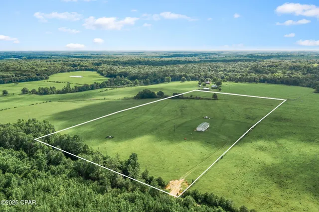 $250,000 | 1080 Arnold Lane, Westville, FL 32464