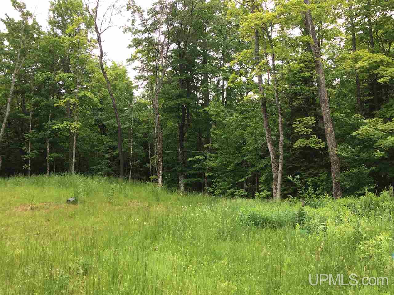245 Maple Grove Road Skandia, MI 49885 - Photo 3 of 14