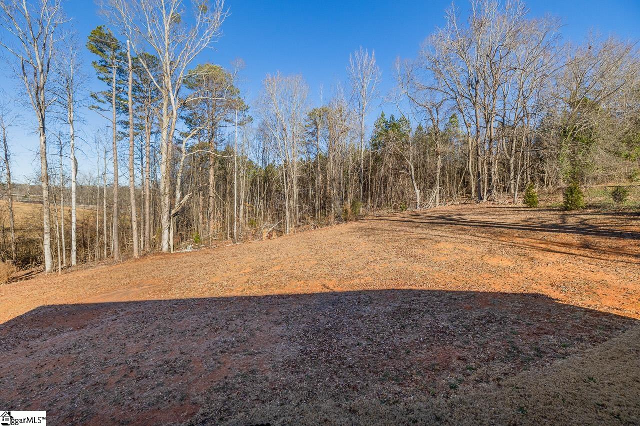 26 Birch Tree Road Greer, SC 29651 - Photo 29 of 38