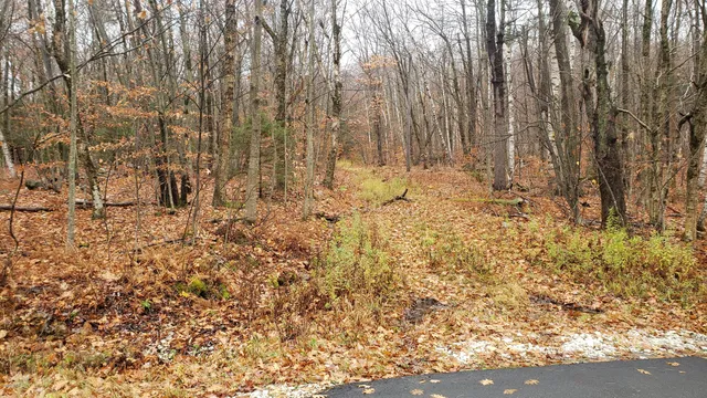 a view of covered with snow