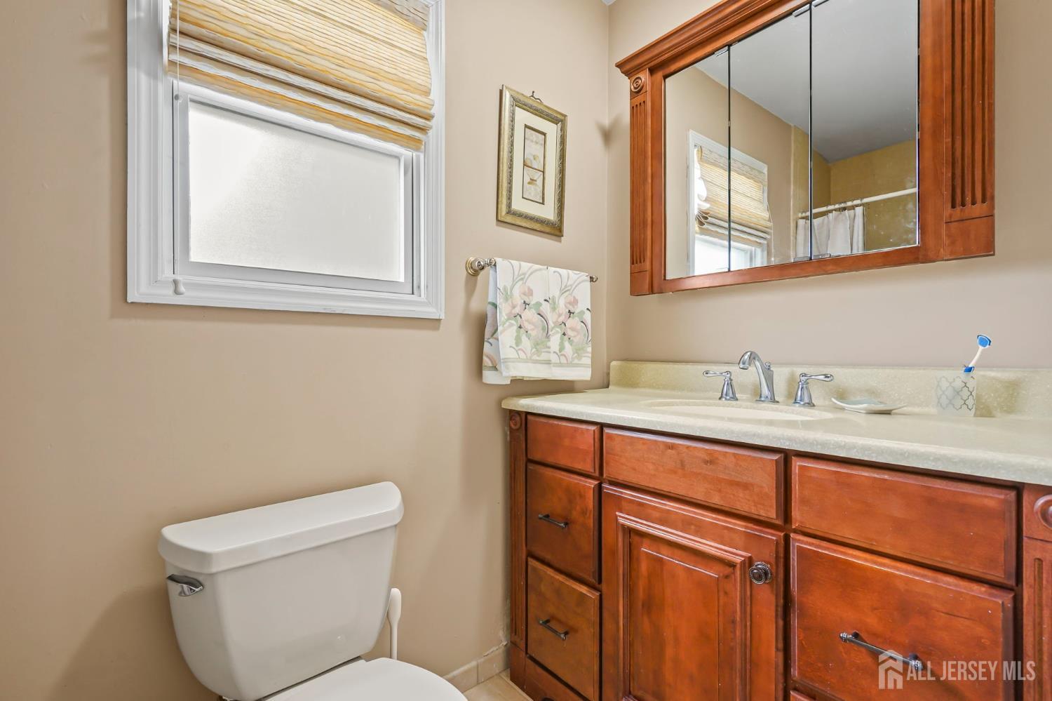 41 Rodak Circle Edison, NJ 08817 - Photo 24 of 28 a bathroom with a toilet a sink and mirror