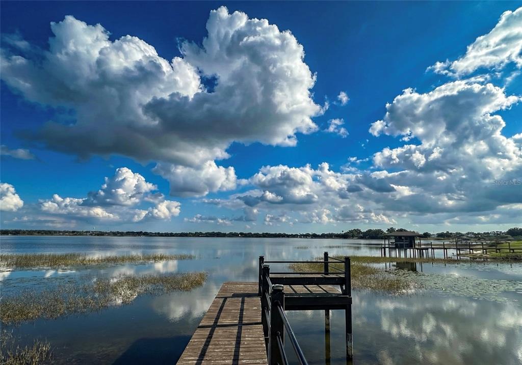 236 Caladium Avenue Lake Alfred, FL 33850 - Photo 28 of 33 a view of a lake from a yard