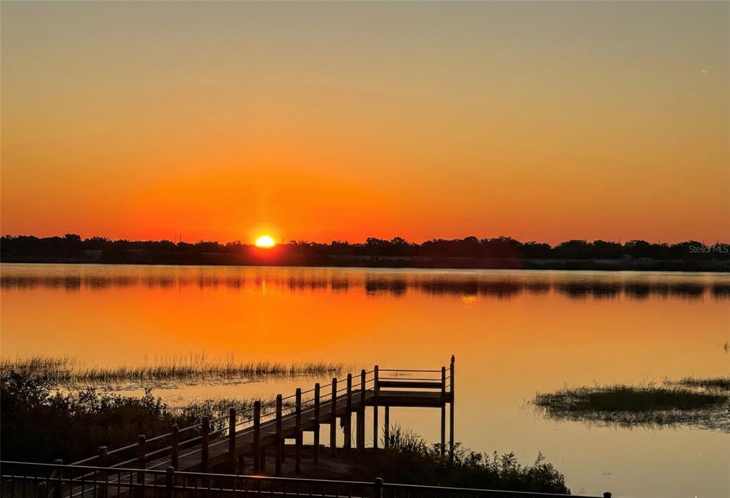 236 Caladium Avenue Lake Alfred, FL 33850 - Photo 30 of 33 a view of a lake from a city