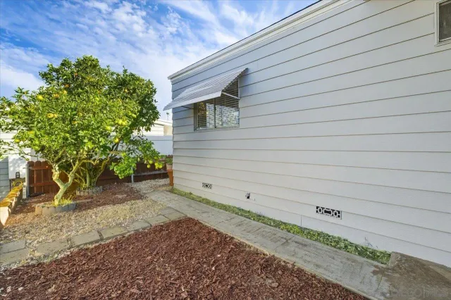 a view of a backyard