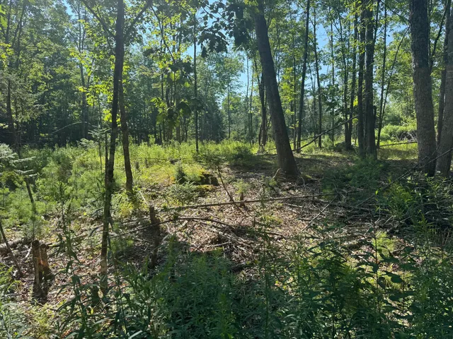 $135,000 | Tbd Brookside Lane, Appleton, ME 04862