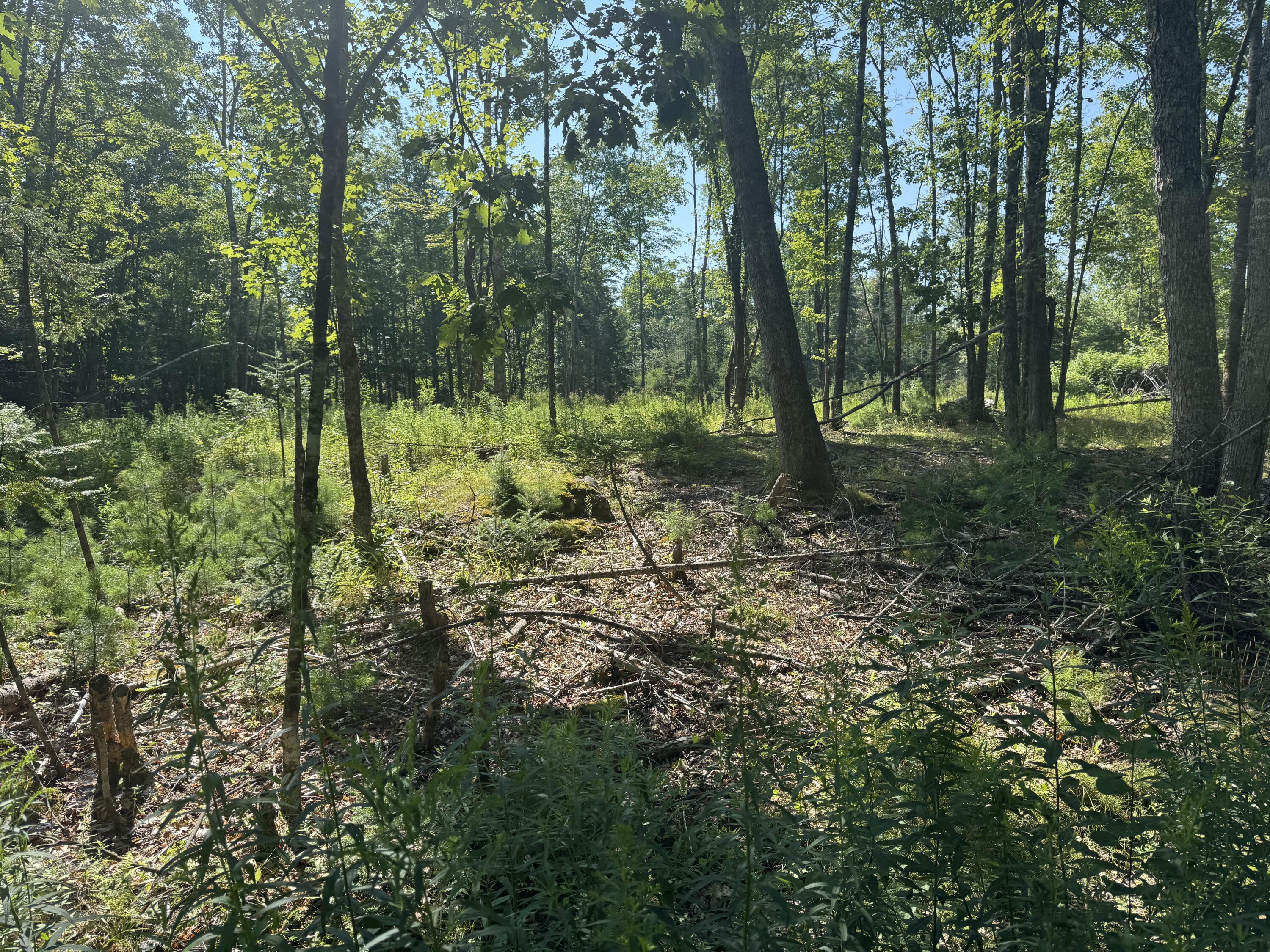 Tbd Brookside Lane Appleton, ME 04862 - Photo 2 of 3 TBD Brookside Lane, Appleton