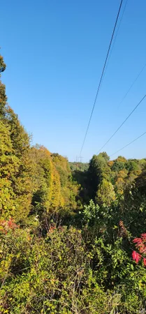 $190,000 | 0 Brushy Fork Road, Tell City, IN 47586