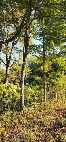 $190,000 | 0 Brushy Fork Road, Tell City, IN 47586