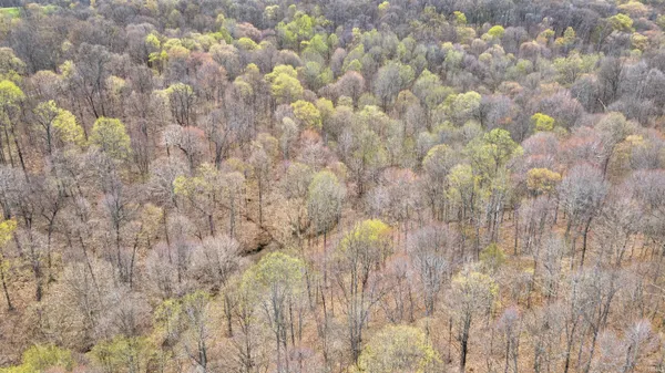 $190,000 | 0 Brushy Fork Road, Tell City, IN 47586
