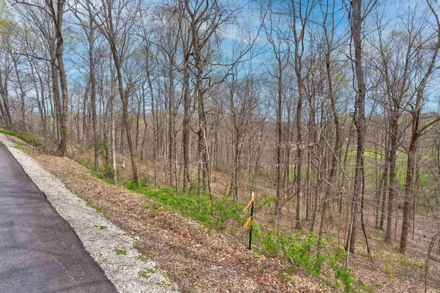 $190,000 | 0 Brushy Fork Road, Tell City, IN 47586