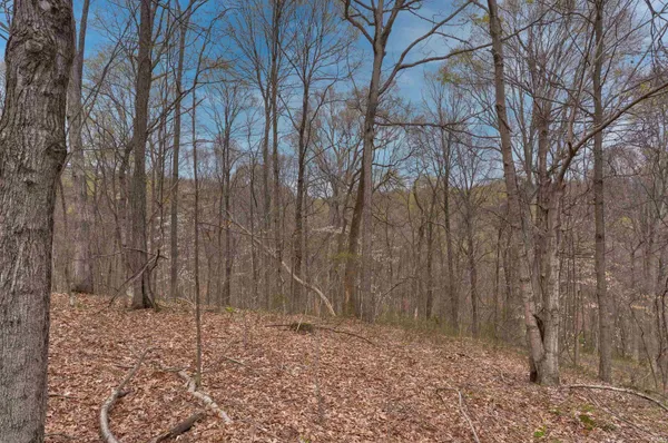 $190,000 | 0 Brushy Fork Road, Tell City, IN 47586