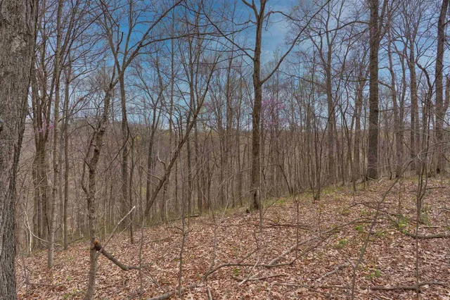 $190,000 | 0 Brushy Fork Road, Tell City, IN 47586