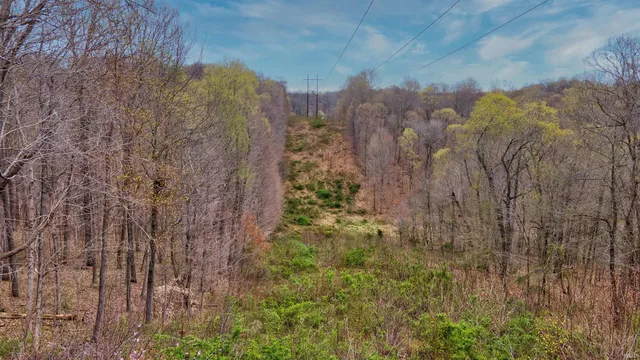 $190,000 | 0 Brushy Fork Road, Tell City, IN 47586