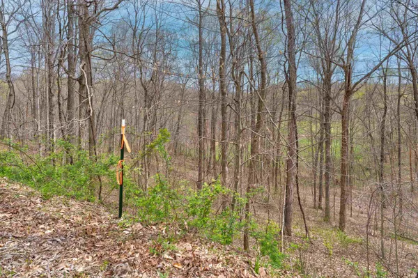 $190,000 | 0 Brushy Fork Road, Tell City, IN 47586