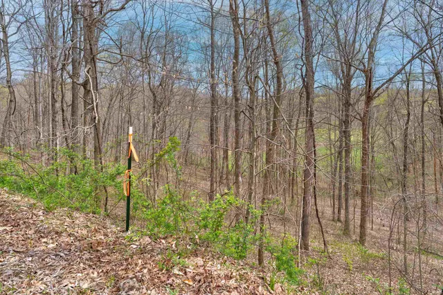 $190,000 | 0 Brushy Fork Road, Tell City, IN 47586