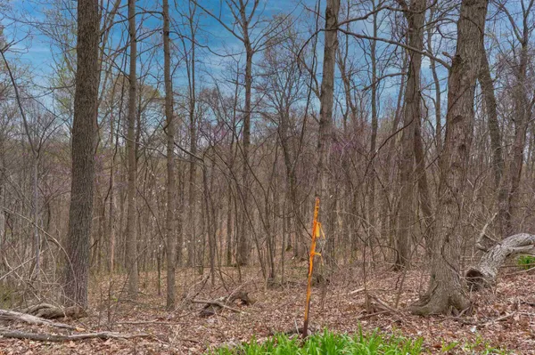$190,000 | 0 Brushy Fork Road, Tell City, IN 47586