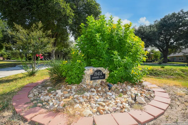 a view of a garden with a bench