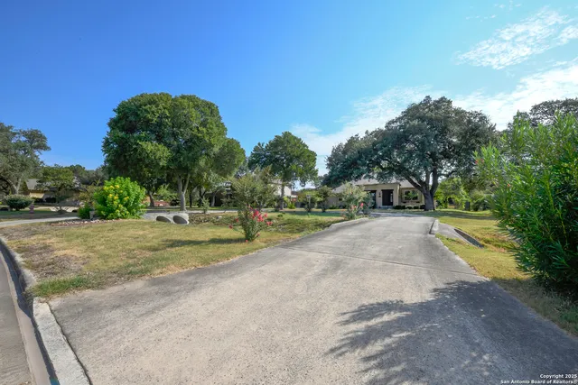 a view of a park with large trees