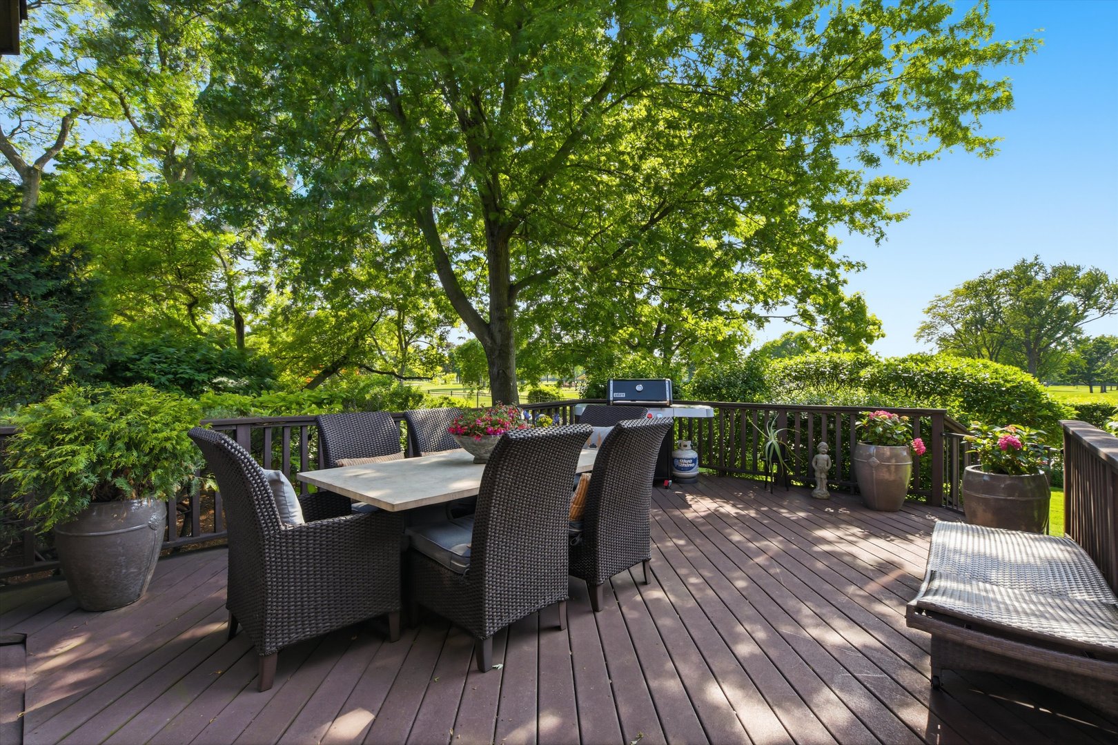 809 Edgemont Lane Park Ridge, IL 60068 - Photo 46 of 59