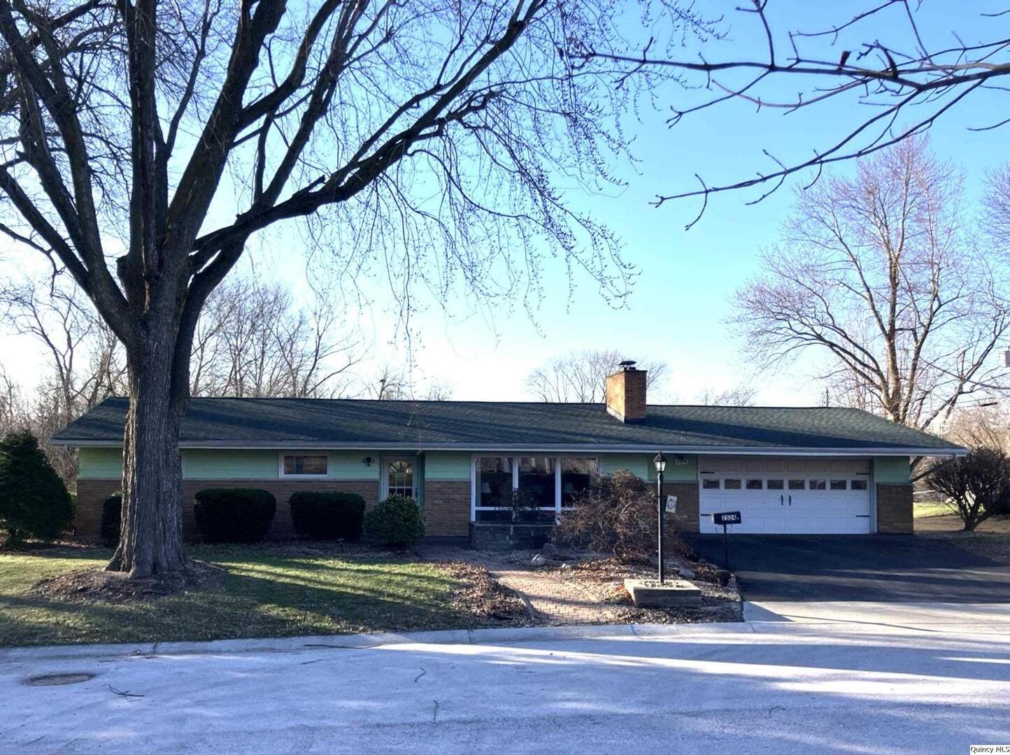 a view of a house with large windows and a large tree