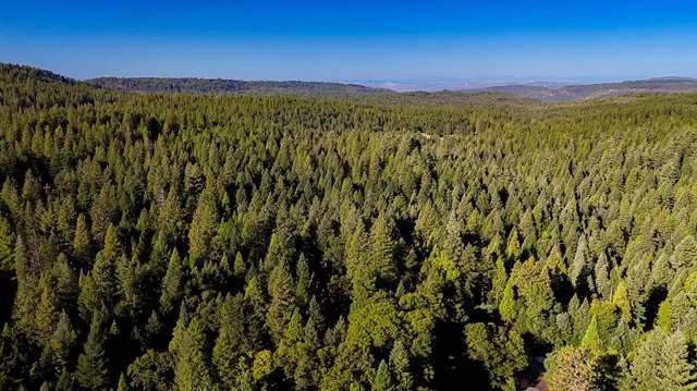 $699,800 | 13792 Rockway Place, Nevada City, CA 95959